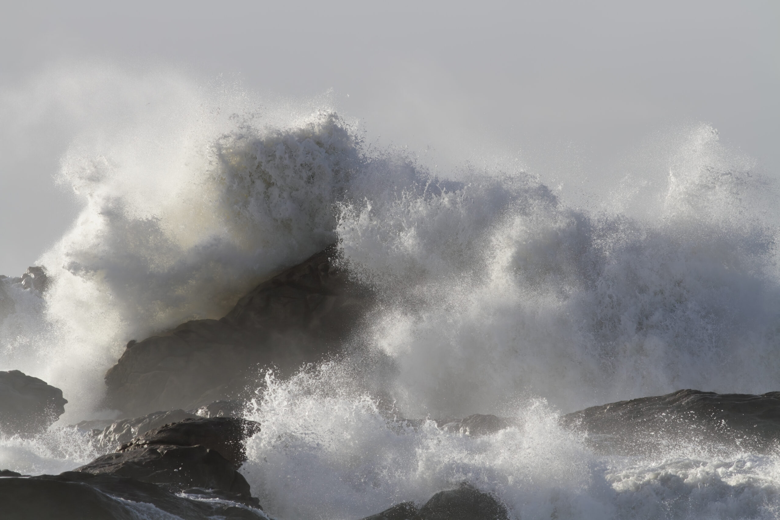High Wind Warnings: Protecting Yourself During Fast-Moving Storms High Wind Warnings: Protecting Yourself During Fast-Moving Storms