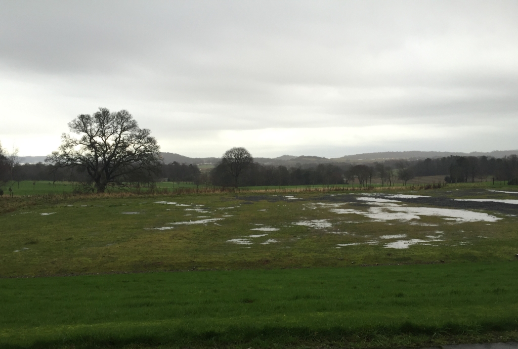 How Flooding Impacts Livestock And Farm Operations How Flooding Impacts Livestock And Farm Operations