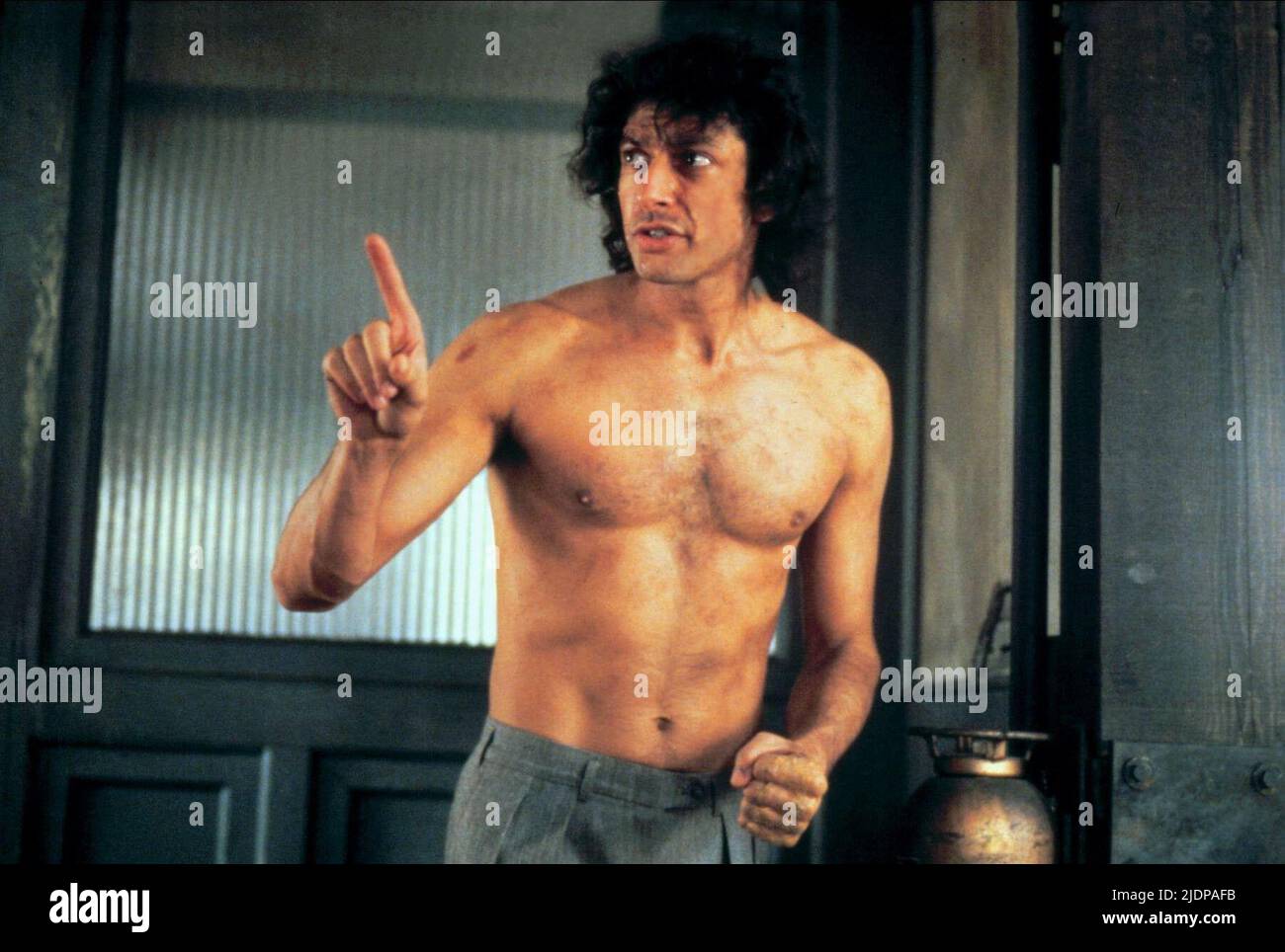 How Jeff Goldblum Would Have Changed The Fly's Ending How Jeff Goldblum Would Have Changed The Fly's Ending