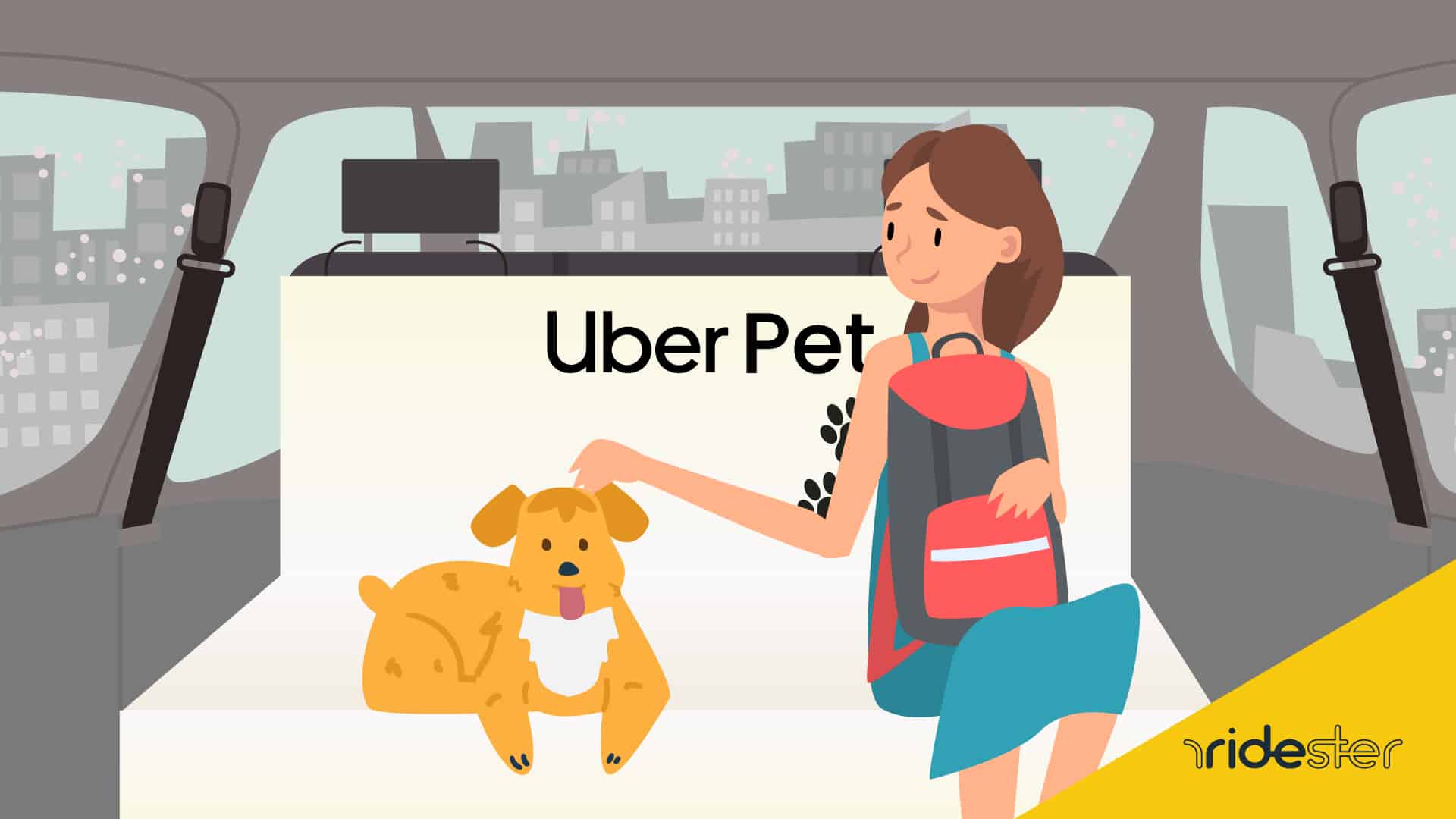 How To Book An Uber In Mumbai When Traveling With A Pet How To Book An Uber In Mumbai When Traveling With A Pet