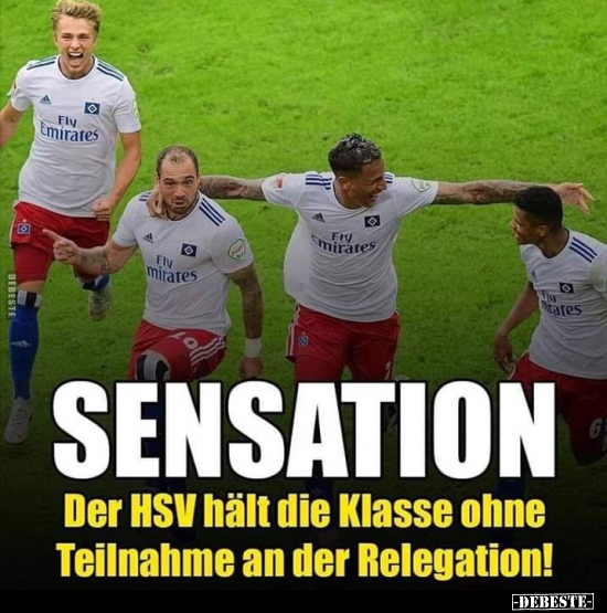 HSV: Aufstieg In Die Bundesliga – Der Weg Zurück An Die Spitze HSV: Aufstieg In Die Bundesliga – Der Weg Zurück An Die Spitze