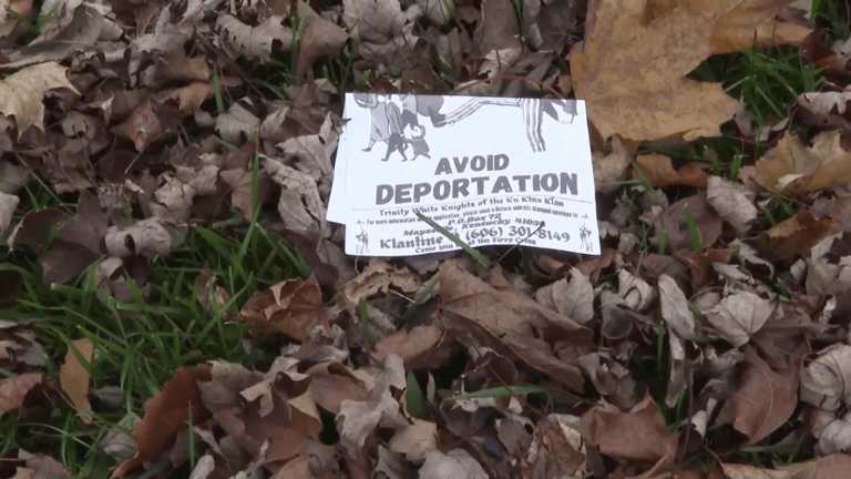 ICE Evasion: Migrant Remains In Tree For Eight Hours To Avoid Deportation ICE Evasion: Migrant Remains In Tree For Eight Hours To Avoid Deportation