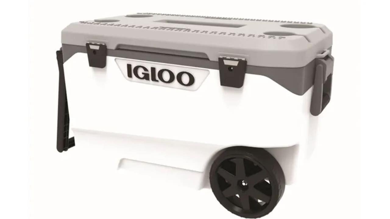 Igloo Cooler Amputation Risk Prompts Nationwide Walmart Recall Igloo Cooler Amputation Risk Prompts Nationwide Walmart Recall