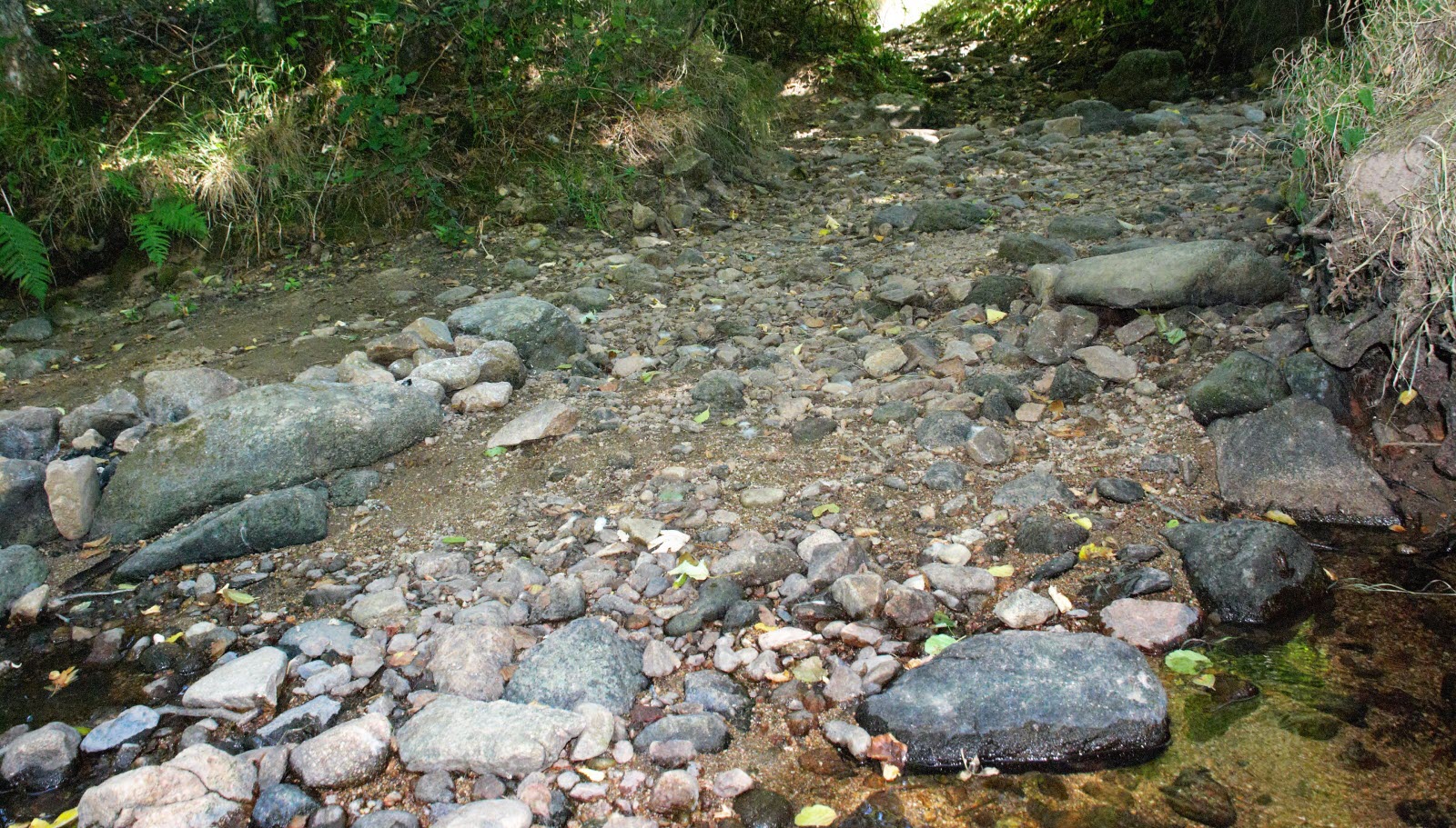 Impact De L'ingénierie Castor Sur Deux Cours D'eau De La Drôme Impact De L'ingénierie Castor Sur Deux Cours D'eau De La Drôme