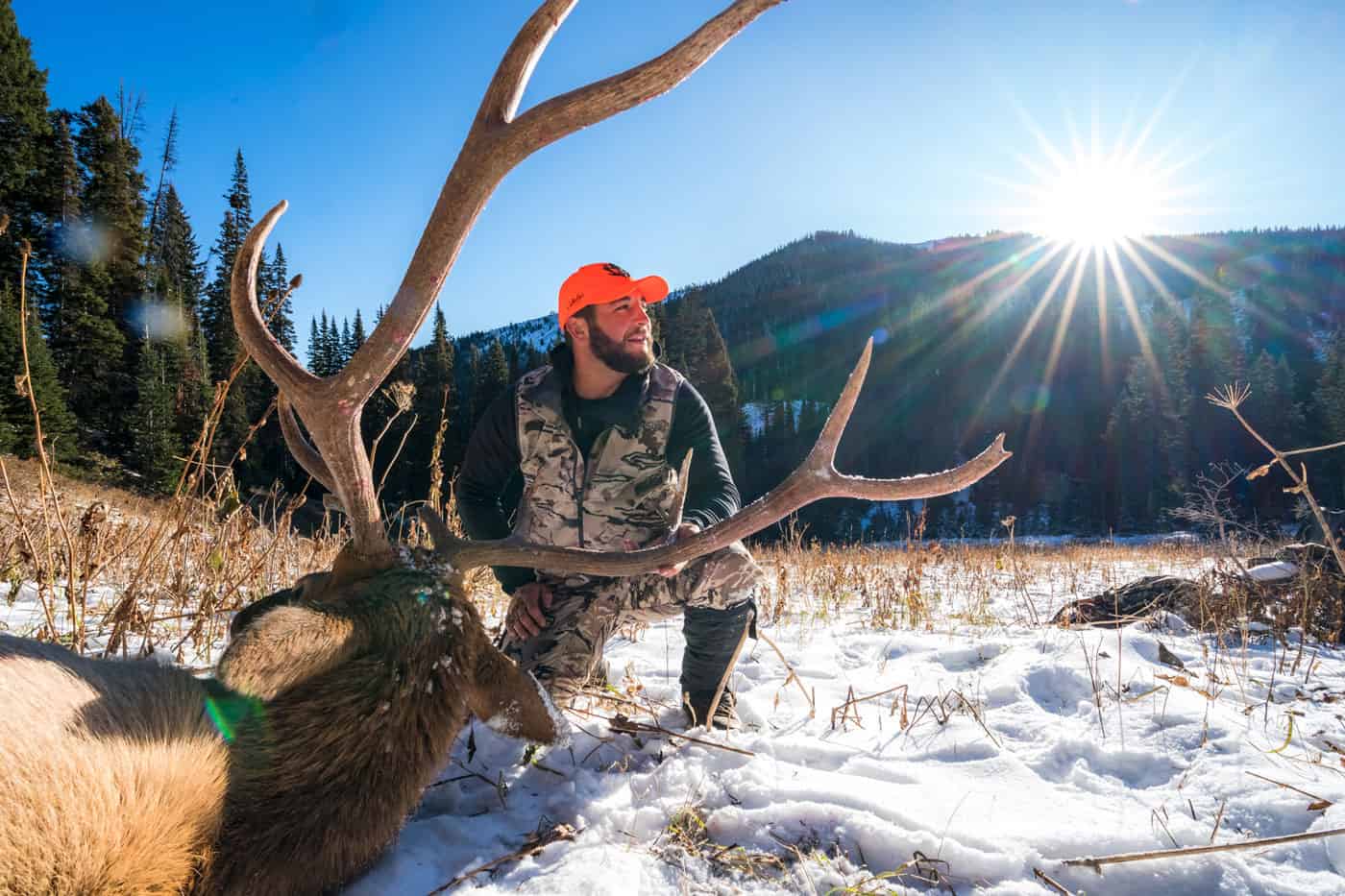 Impact Of Public Input On Jackson Elk Hunting Season Impact Of Public Input On Jackson Elk Hunting Season