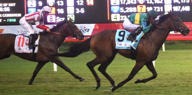 Important Update: Stone Confirms Virginia Derby At Colonial Downs Important Update: Stone Confirms Virginia Derby At Colonial Downs