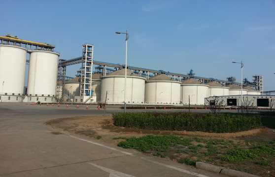 Imported Soybean Auction By Sinograin: A Solution To China's Shortage?