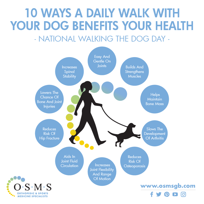 Improve Mental Wellbeing: Dog Walking Event In Didcot Improve Mental Wellbeing: Dog Walking Event In Didcot