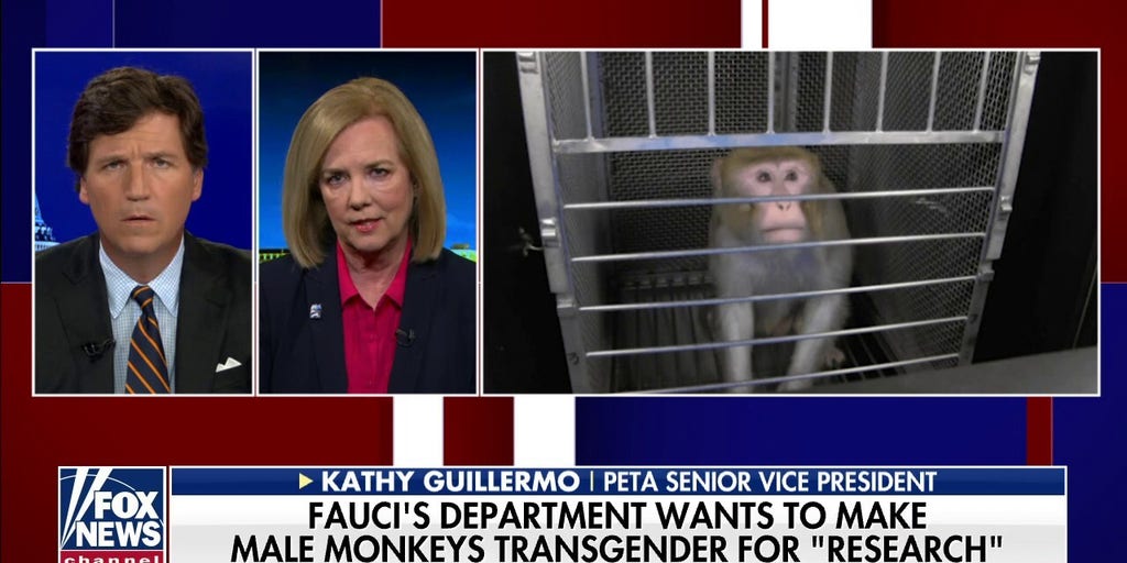 Investigating US Funding For Transgender Animal Research Studies Investigating US Funding For Transgender Animal Research Studies