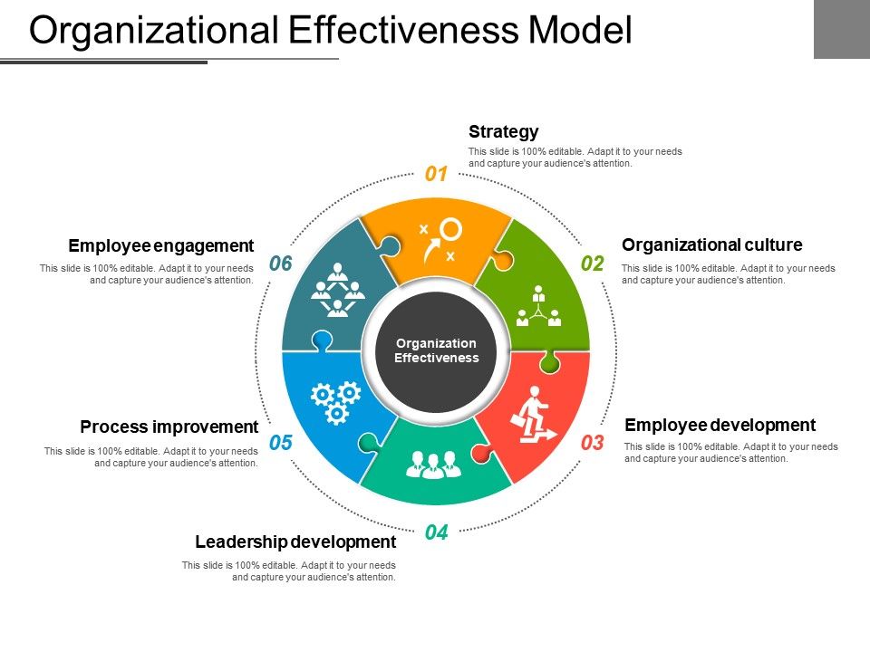 Investing In Middle Management: A Key To Organizational Effectiveness Investing In Middle Management: A Key To Organizational Effectiveness