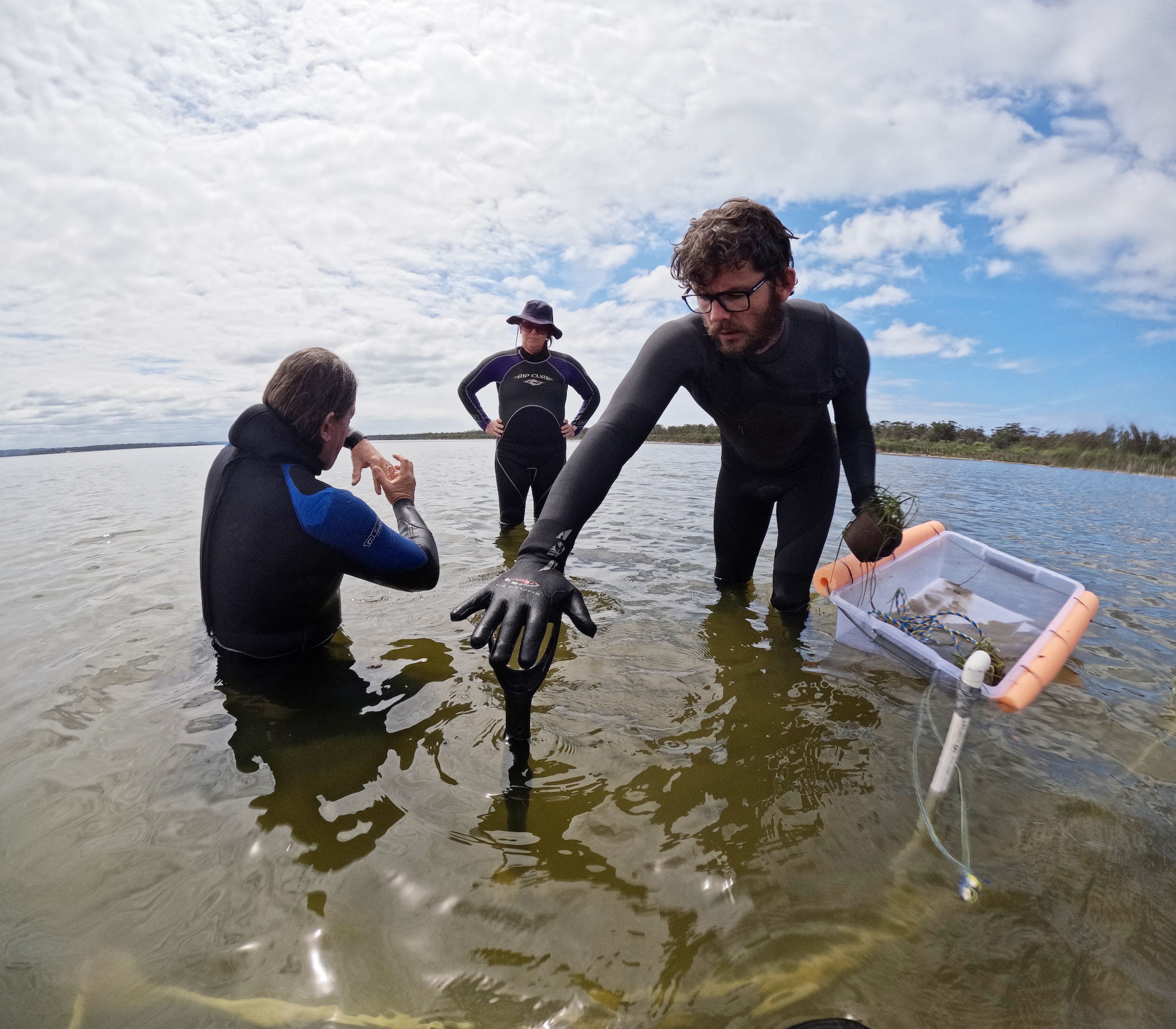 Investing In Scotland's Future: Seagrass Planting And Coastal Health Investing In Scotland's Future: Seagrass Planting And Coastal Health