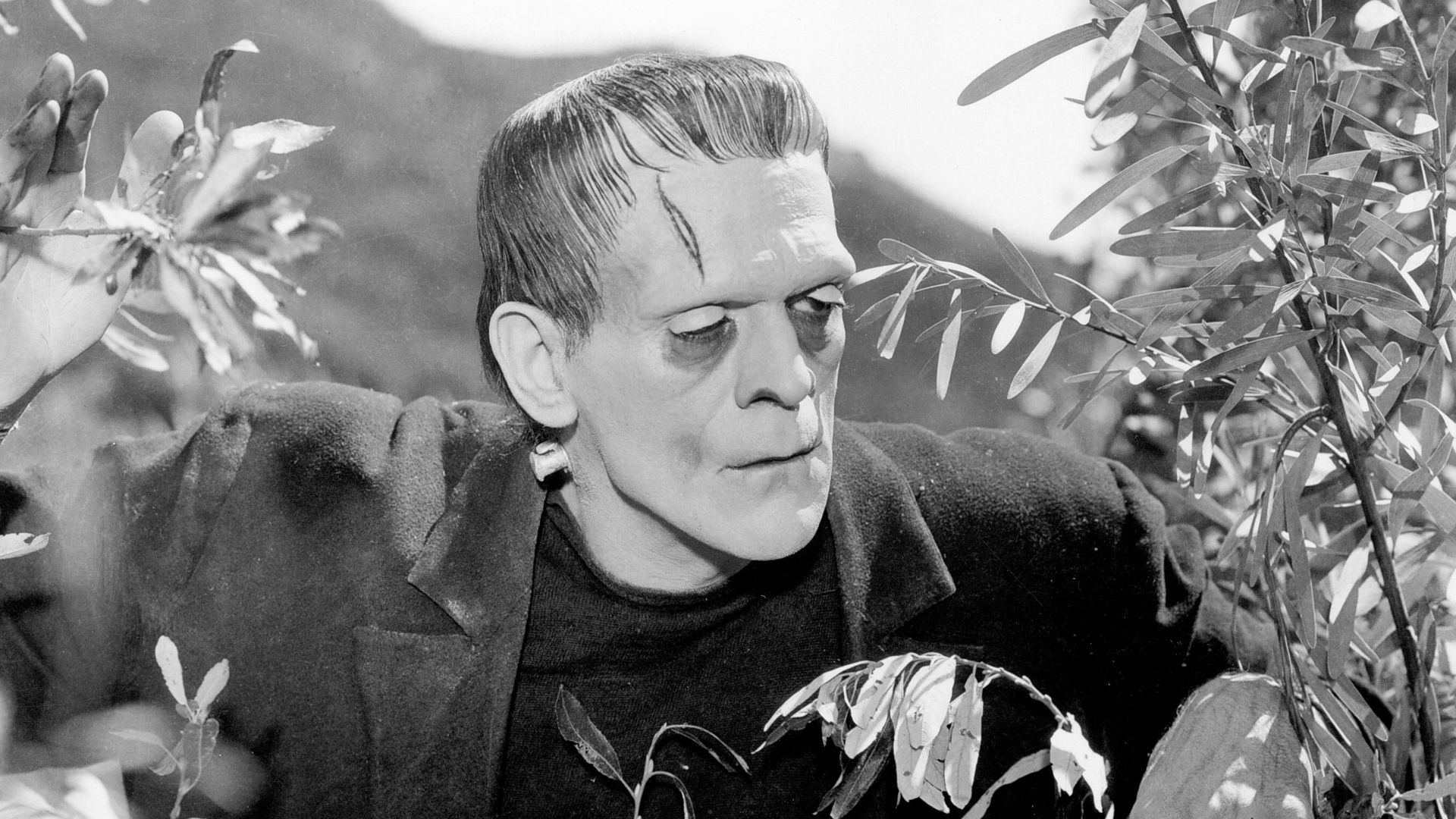 Is Guillermo Del Toro's Frankenstein Truly Horror? A Critical Analysis Is Guillermo Del Toro's Frankenstein Truly Horror? A Critical Analysis
