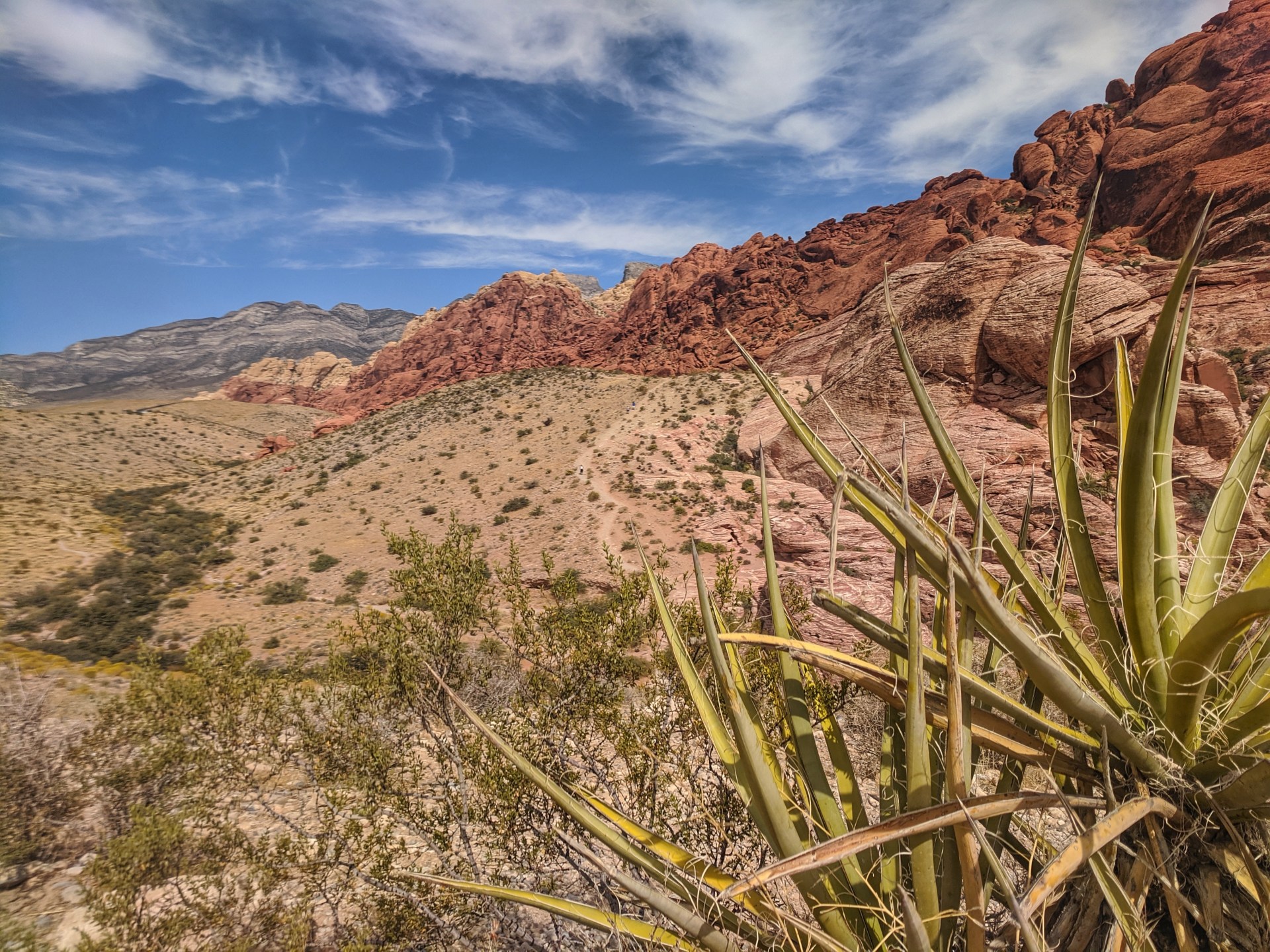 Is The Las Vegas Strip Slowing Down? Off-Strip Areas Thrive Is The Las Vegas Strip Slowing Down? Off-Strip Areas Thrive