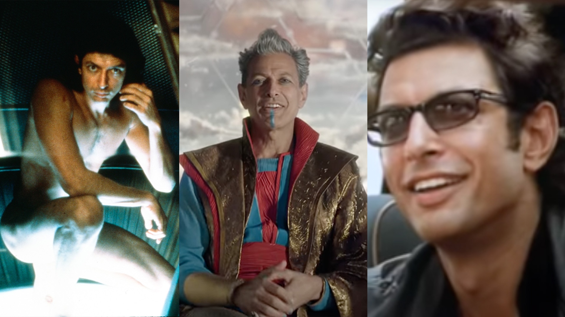 Jeff Goldblum's Best Film Roles: A Career Retrospective Jeff Goldblum's Best Film Roles: A Career Retrospective