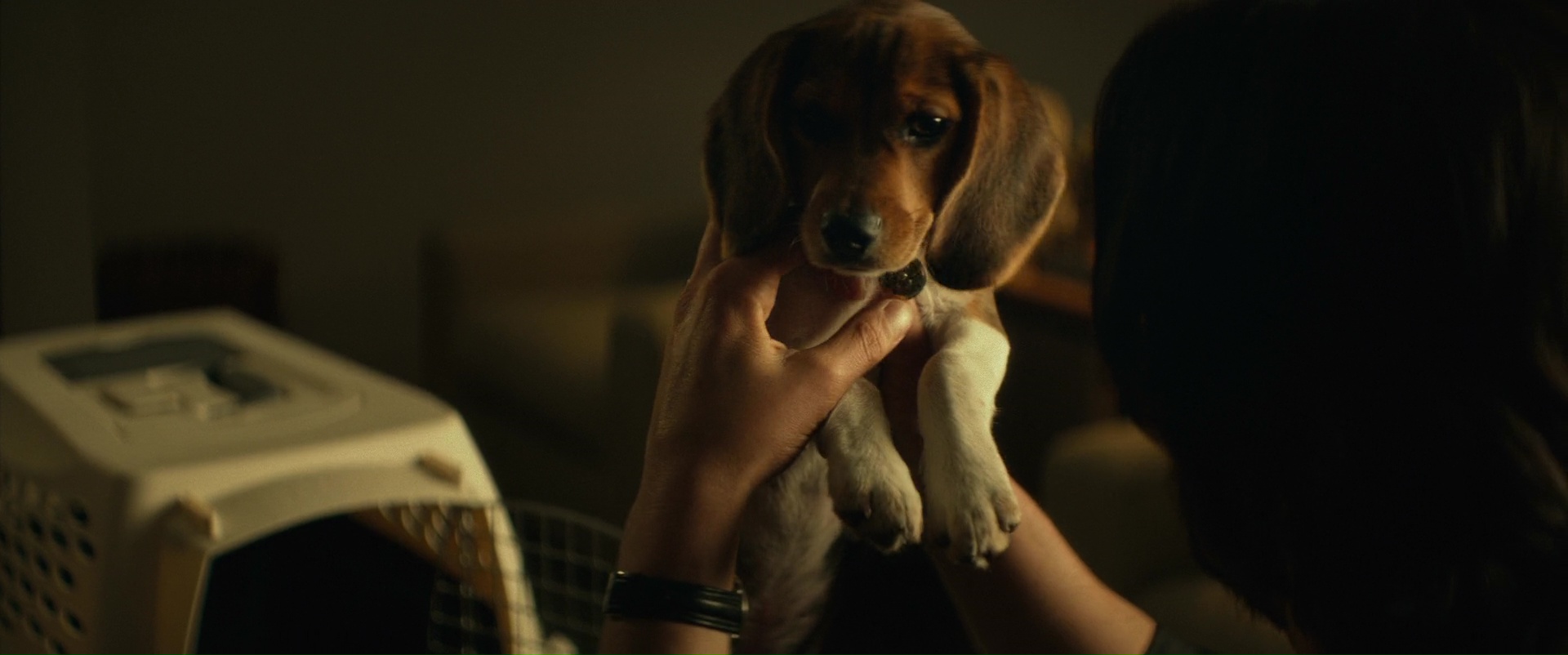 John Wick's Limited Appearances: A Critical Look At The Franchise John Wick's Limited Appearances: A Critical Look At The Franchise