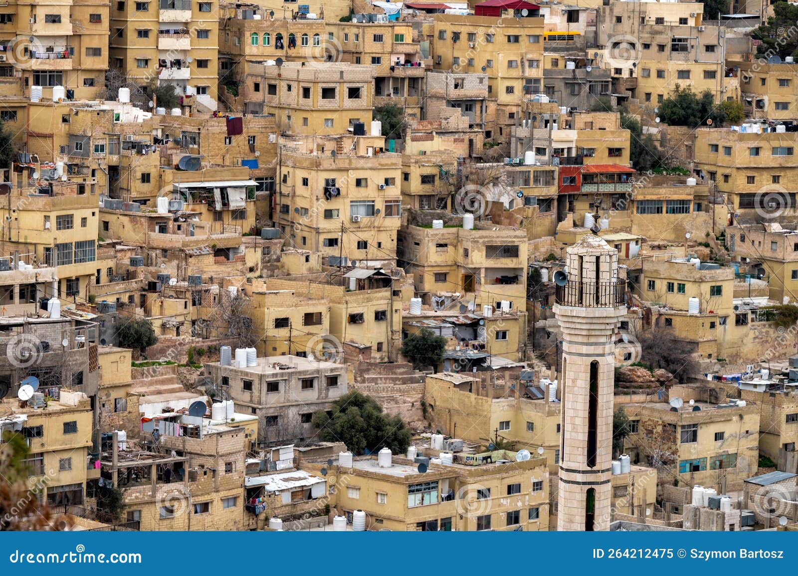 Jordanian City Of Amman Hosts The Final Of The 24th Chinese Bridge Contest