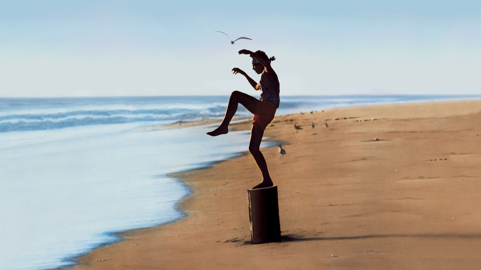 Karate Kid 6 And Beyond: Analyzing Ralph Macchio's Career Choices Karate Kid 6 And Beyond: Analyzing Ralph Macchio's Career Choices