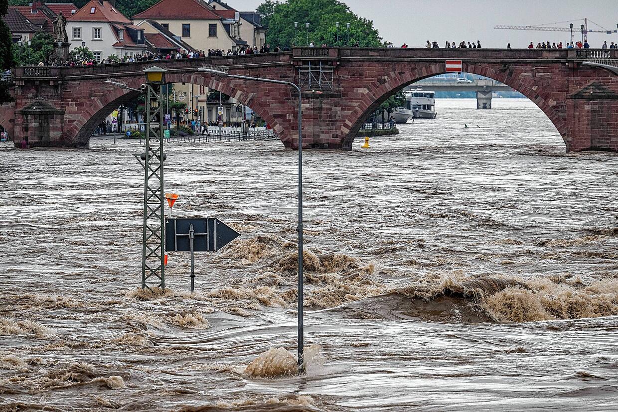 Katastrophenschutz Am Bodensee: Übungsszenario In Hard Simuliert Ernstfall