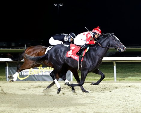 Kentucky Derby 2025: Betting Outlook For Chunk Of Gold Kentucky Derby 2025: Betting Outlook For Chunk Of Gold