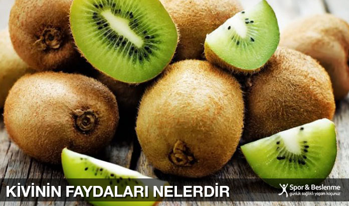 Kivinin Kabuğu Yenir Mi? Faydaları, Riskleri Ve Hazırlama Yöntemleri Kivinin Kabuğu Yenir Mi? Faydaları, Riskleri Ve Hazırlama Yöntemleri