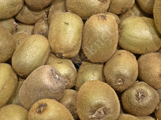 Kivinin Kabuğunu Yemek: Faydaları, Zararları Ve Nasıl Tüketilir? Kivinin Kabuğunu Yemek: Faydaları, Zararları Ve Nasıl Tüketilir?