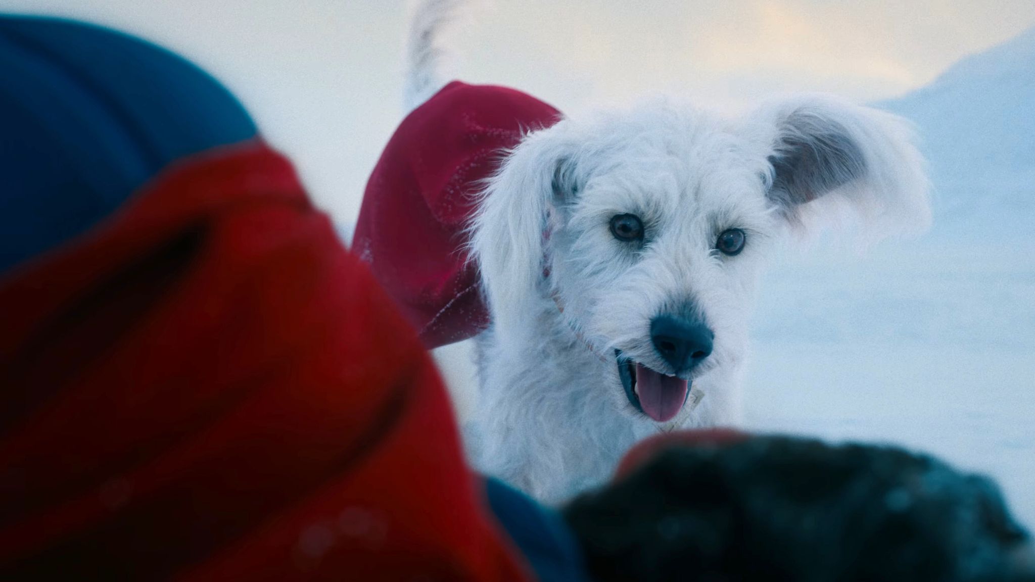 Krypto The Super-Dog Steals The Show In New Superman Footage Krypto The Super-Dog Steals The Show In New Superman Footage