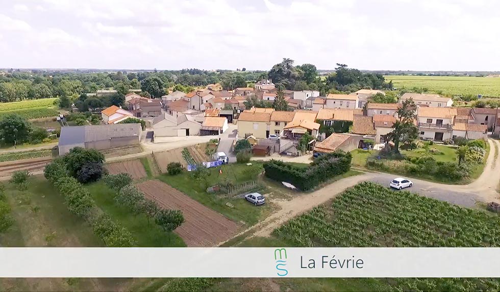 L'évolution De Moncoutant-sur-Sèvre Et Clisson : Diversification Économique L'évolution De Moncoutant-sur-Sèvre Et Clisson : Diversification Économique