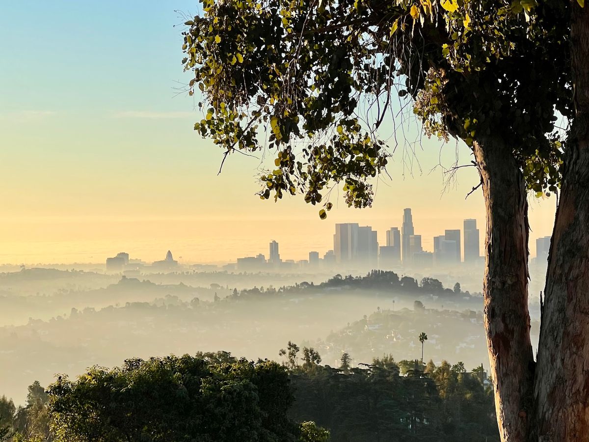 LA Fires Fuel Price Gouging Concerns: Report Highlights Rental Market Issues LA Fires Fuel Price Gouging Concerns: Report Highlights Rental Market Issues
