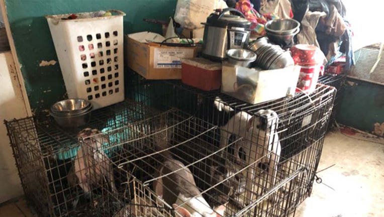 Large-Scale Dog Seizure In Washington County: 49 Animals Removed From Breeder Large-Scale Dog Seizure In Washington County: 49 Animals Removed From Breeder