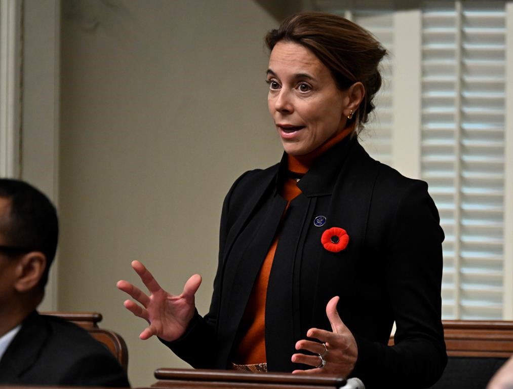Le Projet De Loi HELP Extension Act Et Son Impact Sur L'économie D'Haïti Le Projet De Loi HELP Extension Act Et Son Impact Sur L'économie D'Haïti