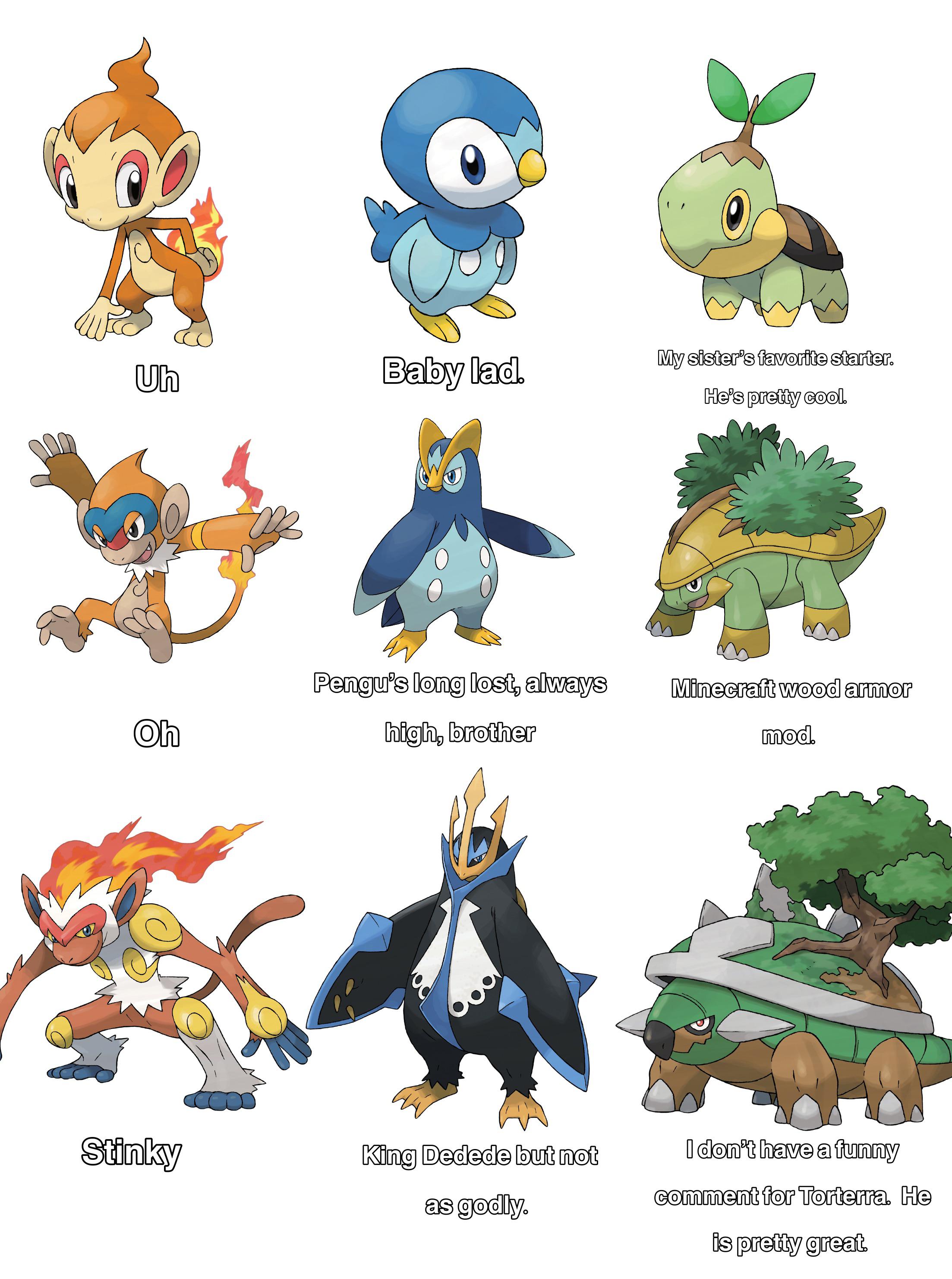LEGO Pokemon: Fan Builds Gen 3 Starter Pokemon LEGO Pokemon: Fan Builds Gen 3 Starter Pokemon