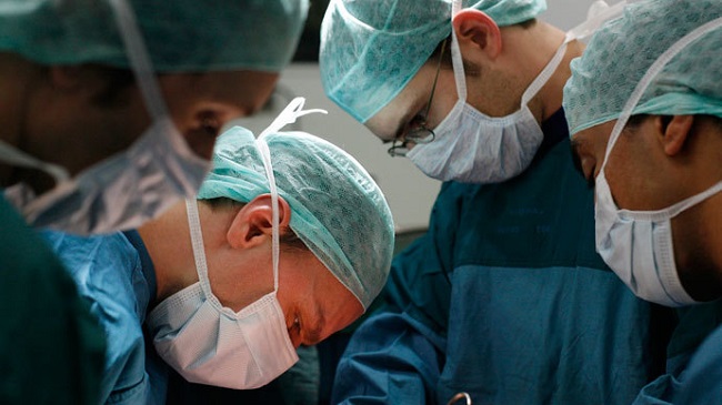 Live Womb Transplants: A Community Activist's Proposal For Transgender Childbearing Live Womb Transplants: A Community Activist's Proposal For Transgender Childbearing