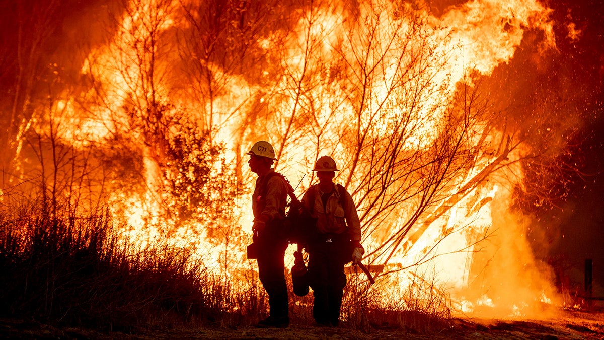 Los Angeles Wildfires: Exploring The Connection Between Betting And Societal Response Los Angeles Wildfires: Exploring The Connection Between Betting And Societal Response