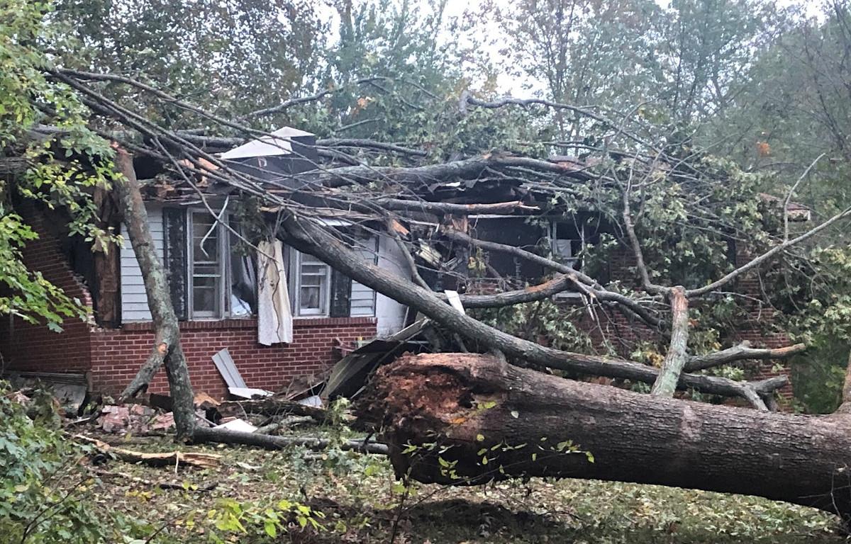 Louisville Announces Storm Debris Removal Request Process Louisville Announces Storm Debris Removal Request Process