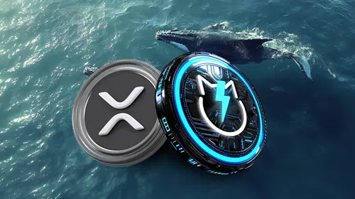 Major XRP Whale Acquisition: 20 Million Tokens And Market Implications Major XRP Whale Acquisition: 20 Million Tokens And Market Implications