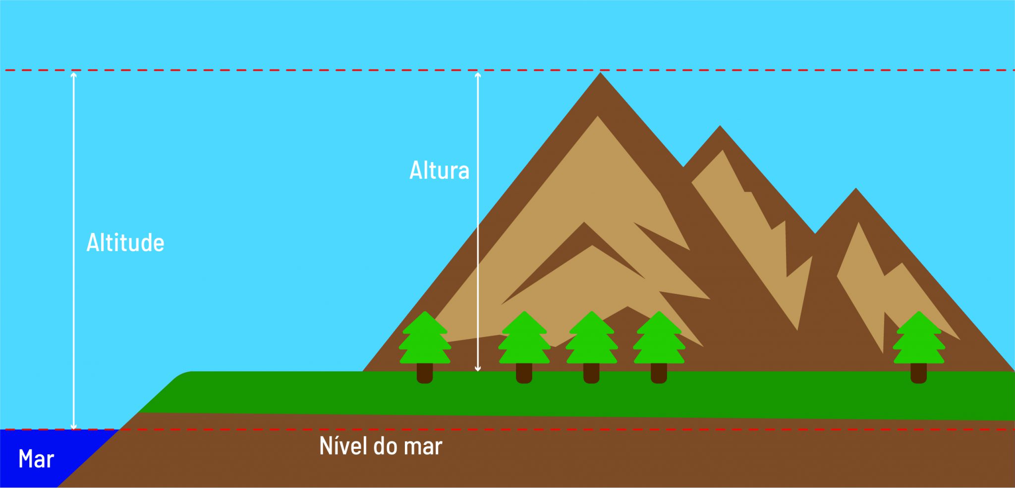 Mal-Estar De Estêvão Em Jogo Do Palmeiras: Altitude Como Fator Determinante? Mal-Estar De Estêvão Em Jogo Do Palmeiras: Altitude Como Fator Determinante?