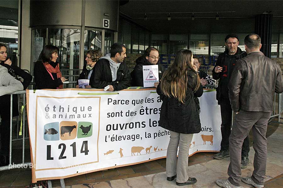 Manifestation À Bordeaux : Les Opposants À La Piste Secondaire Mobilisés