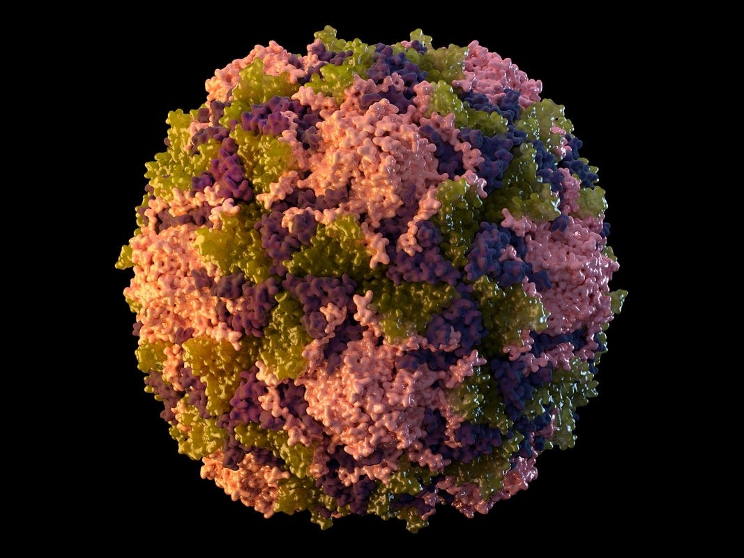 Measles Virus Detected In Sacramento County Wastewater: Public Health Alert