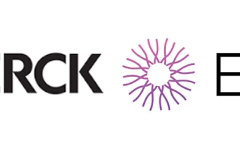 Merck's $1 Billion Investment: A New US Factory For Key Drug Production