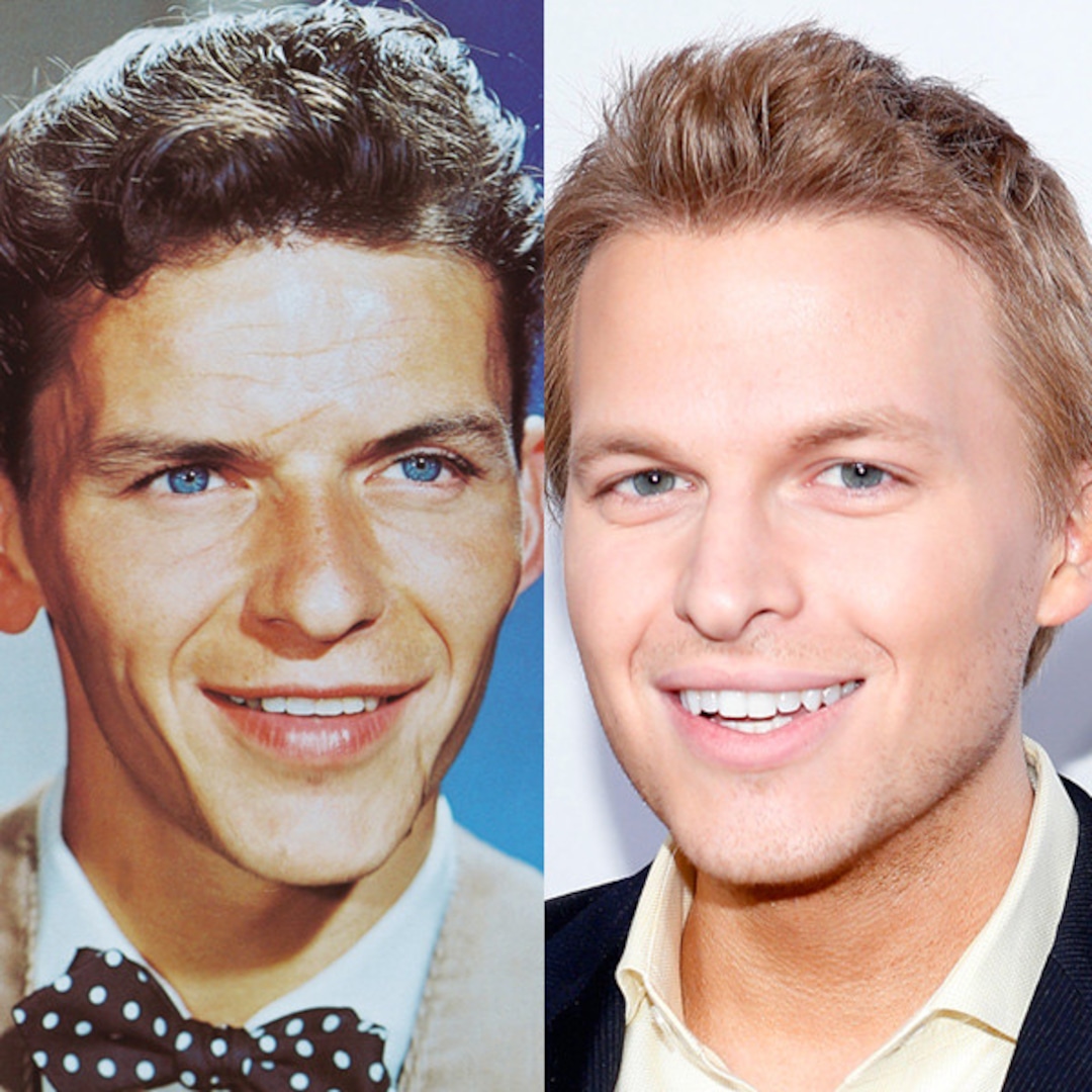 Mia Farrow's Comeback: Is Ronan Farrow The Key?