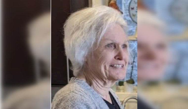 Missing Elderly Hiker: Large-Scale Search In Peninsula Hills Missing Elderly Hiker: Large-Scale Search In Peninsula Hills