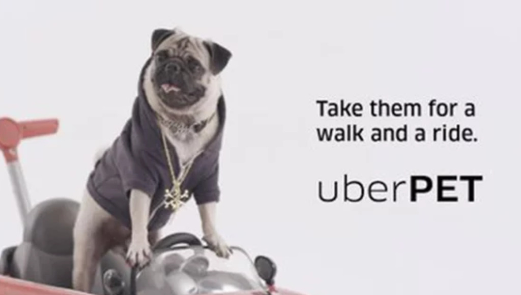 Mumbai's Uber Now Allows Pets: A Complete Booking Guide Mumbai's Uber Now Allows Pets: A Complete Booking Guide