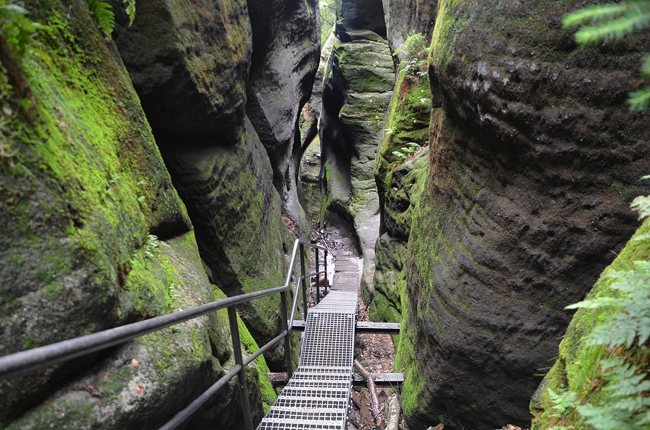 Nationalpark Sächsische Schweiz: 190.000 Bäume Stärken Den Naturschutz Nationalpark Sächsische Schweiz: 190.000 Bäume Stärken Den Naturschutz