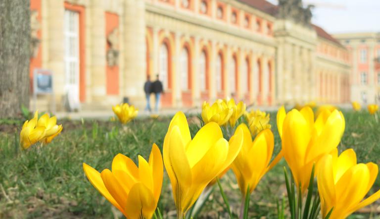 Naturschutz In Der Sächsischen Schweiz: 190.000 Bäume Gepflanzt Naturschutz In Der Sächsischen Schweiz: 190.000 Bäume Gepflanzt