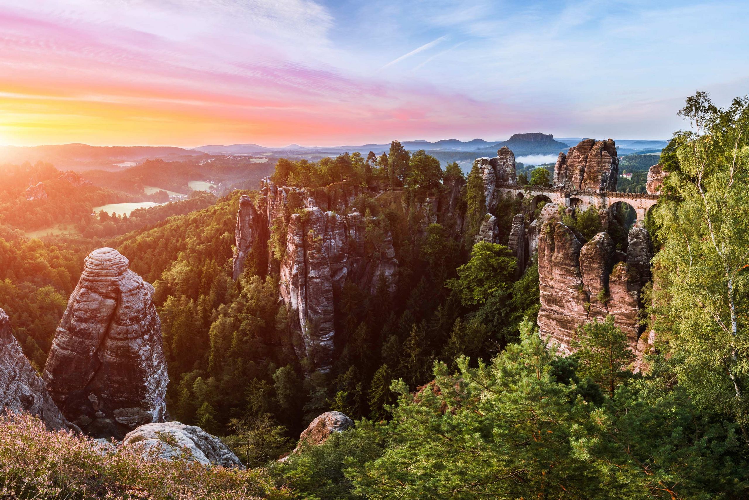 Naturschutzmaßnahmen: 190.000 Bäume Neu Gepflanzt Im Nationalpark Sächsische Schweiz Naturschutzmaßnahmen: 190.000 Bäume Neu Gepflanzt Im Nationalpark Sächsische Schweiz