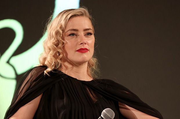 New Twins, Old Dispute:  Examining The Elon Musk-Amber Heard Connection.