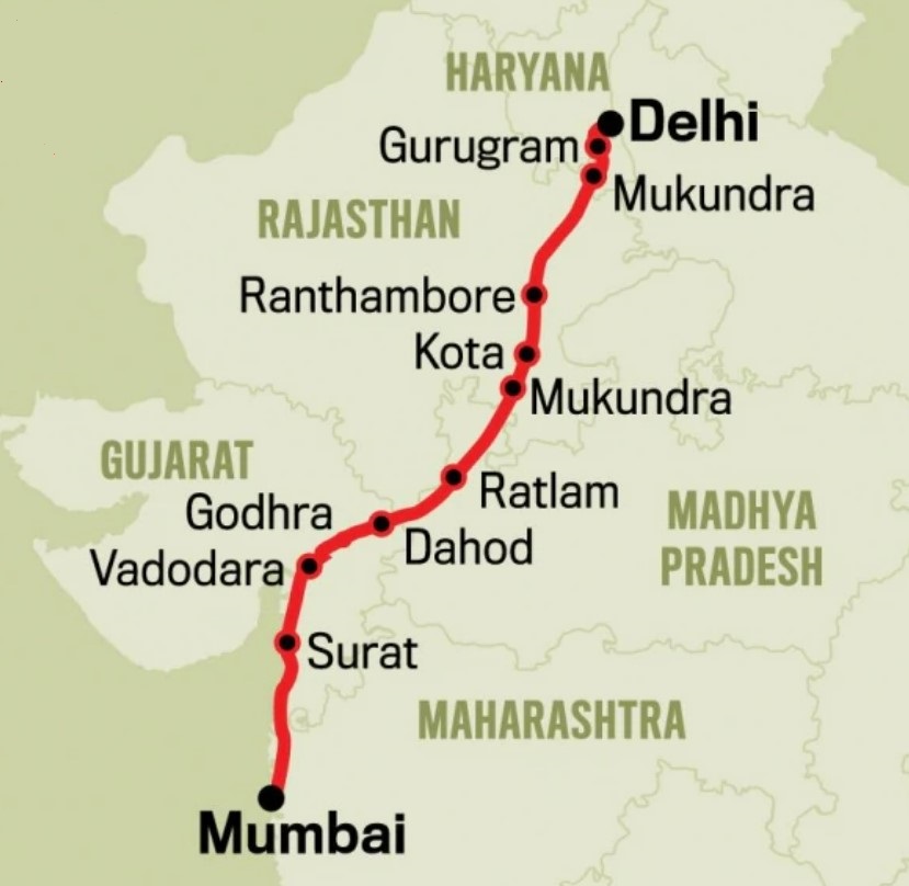 New Uber Service: Pet Transportation In Delhi And Mumbai New Uber Service: Pet Transportation In Delhi And Mumbai