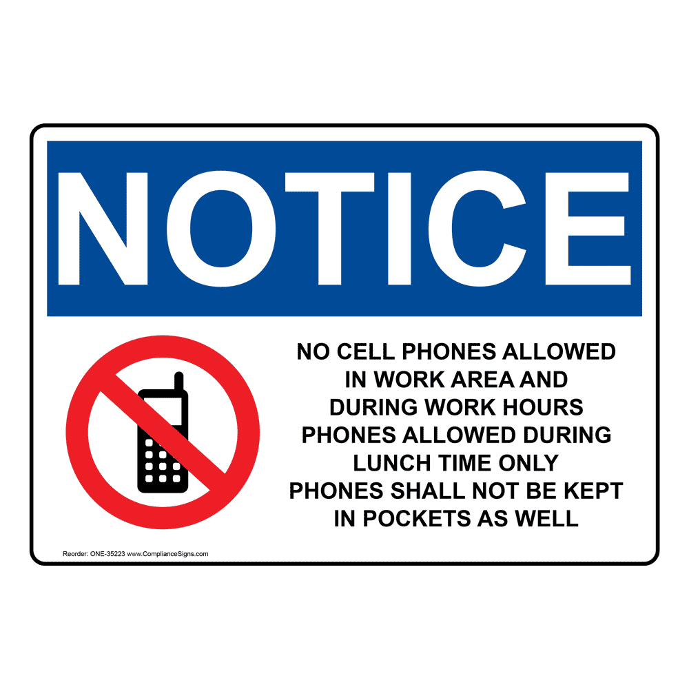 No Phones Allowed: Vatican's Plan For The Next Papal Election No Phones Allowed: Vatican's Plan For The Next Papal Election