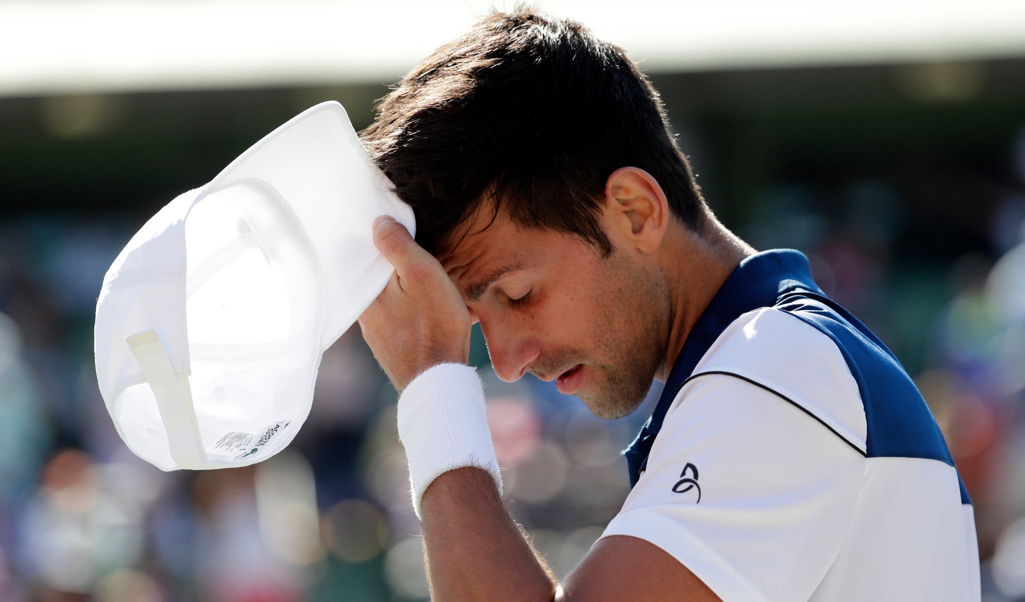 Novak Djokovic'in Miami Açık Finali Novak Djokovic'in Miami Açık Finali