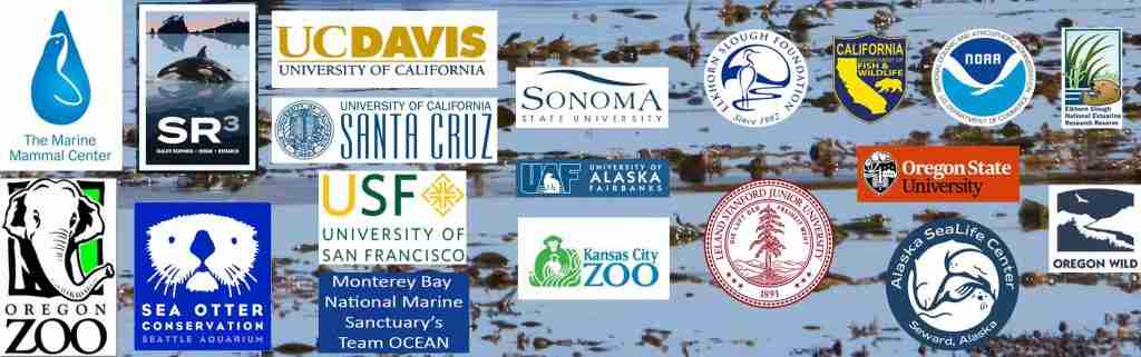 Otter Conservation In Wyoming: Challenges And Solutions Otter Conservation In Wyoming: Challenges And Solutions